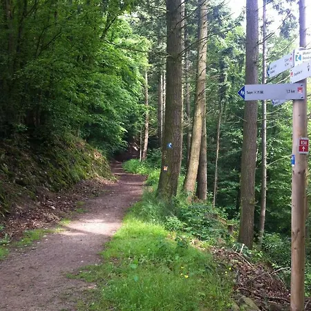 Ferienwohnung Sayn Bei Koblenz Bendorf Esterno foto