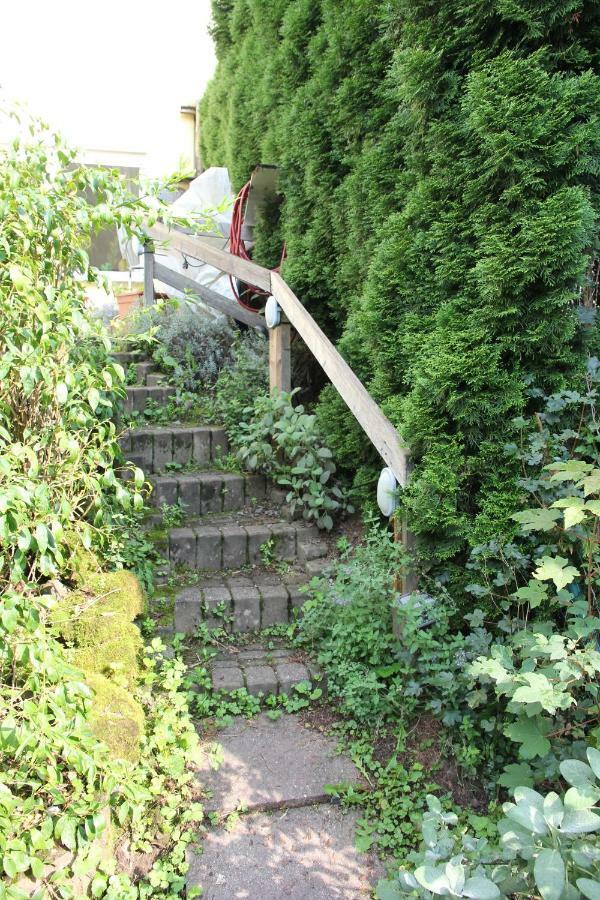 Apartment Sayn Bei Koblenz *